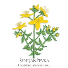 Šentjanževo mazilo, 60 ml