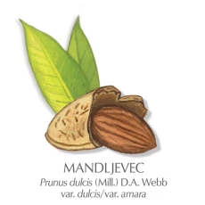 Mandljevo mleko, 150 ml