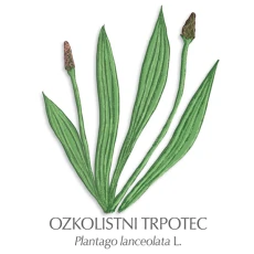 Trpotčev sirup