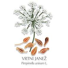 Janež zdravilni čaj, 150 g