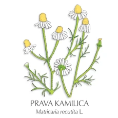Kamilice zdravilni čaj, 50 g