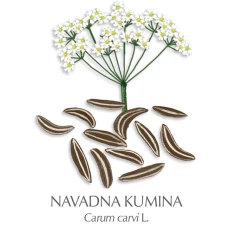 Kumina zdravilni čaj, 150 g