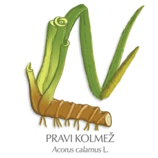 Kolmež zdravilni čaj, 100 g
