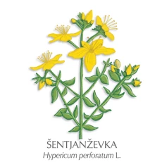 Šentjanževo olje, 100 ml