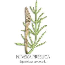 Preslica zdravilni čaj