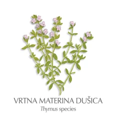 Timijanovo mazilo, 60 ml